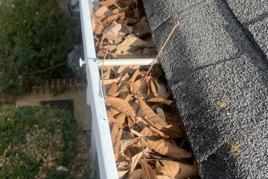 Gutter Cleaning Wade